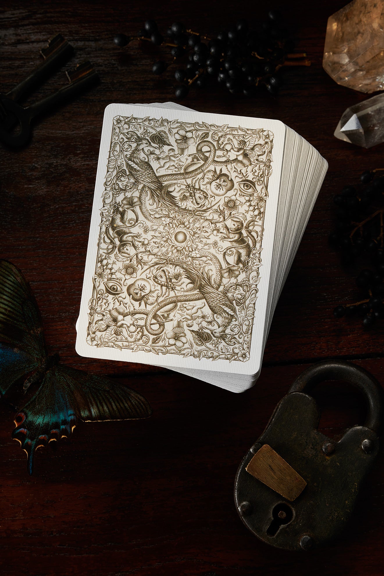 Cabinetarium Playing Cards by Armando Veve