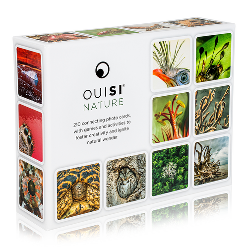 OuiSi Nature: Games of Visual Connection